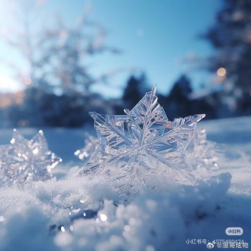 集合啦动物森友会大雪花获取攻略:全面解析大雪花获取方法与技巧