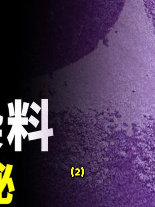 探寻谜中之谜:太平年答案全揭秘