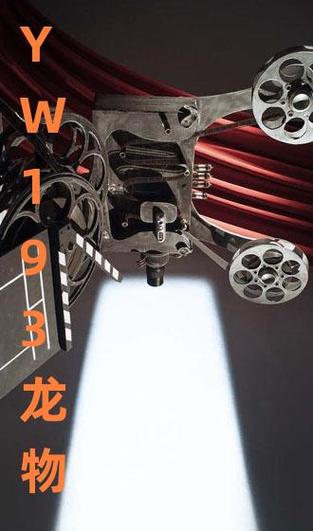YW193 龙物高清免费,网友评价:画质清晰,资源丰富,值得收藏