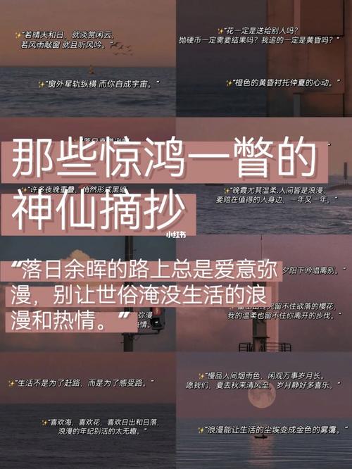 逆水寒落日余晖下的秘境:探寻最美落日地点的坐标与风光介绍