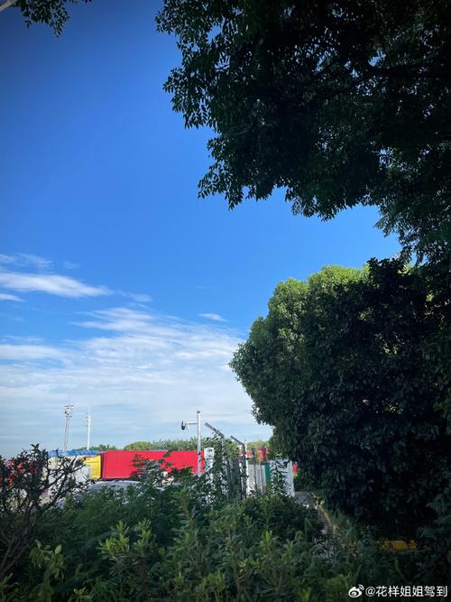 网友评价:国产手机在线自在拍,轻松记录美好生活