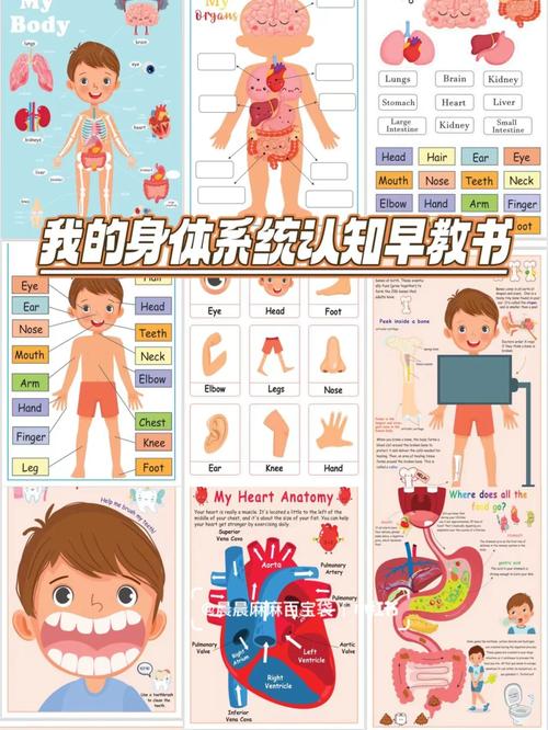 如何正确引导初中女生认识自己的身体?
