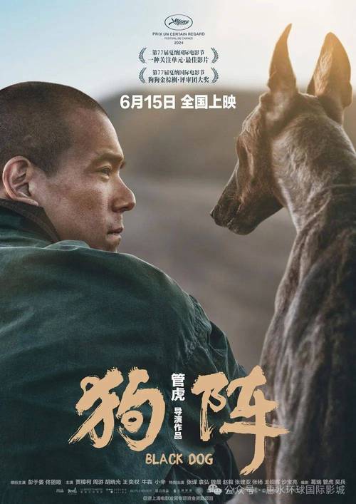 一人一狗卡了六个小时视频究竟有何秘密?为何能吸引无数人观看?