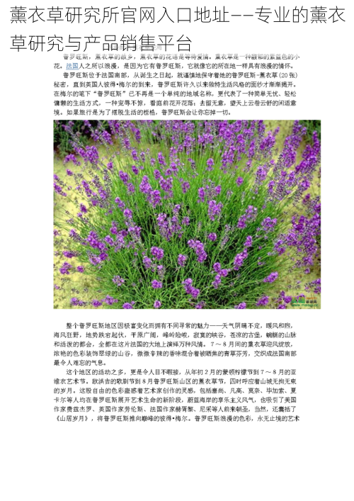 薰衣草研究所官网入口地址——专业的薰衣草研究与产品销售平台
