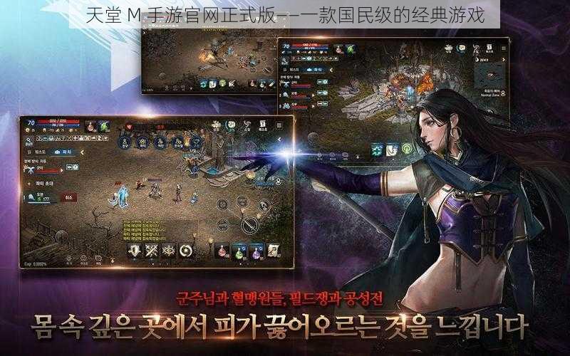 天堂 M 手游官网正式版——一款国民级的经典游戏