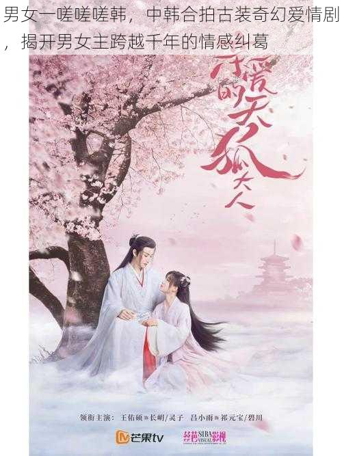 男女一嗟嗟嗟韩,中韩合拍古装奇幻爱情剧,揭开男女主跨越千年的情感纠葛
