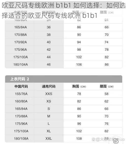 欧亚尺码专线欧洲 b1b1 如何选择:如何选择适合的欧亚尺码专线欧洲 b1b1