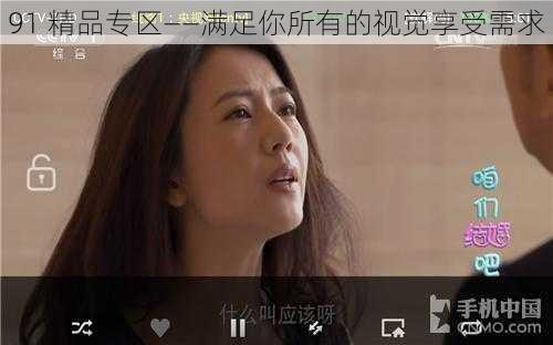 91 精品专区——满足你所有的视觉享受需求