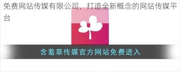 免费网站传媒有限公司,打造全新概念的网站传媒平台