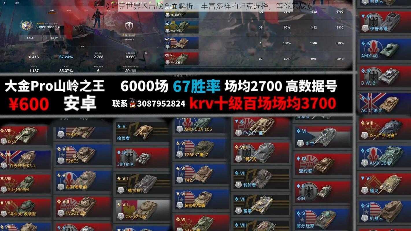 《坦克世界闪击战全面解析:丰富多样的坦克选择,等你来战》