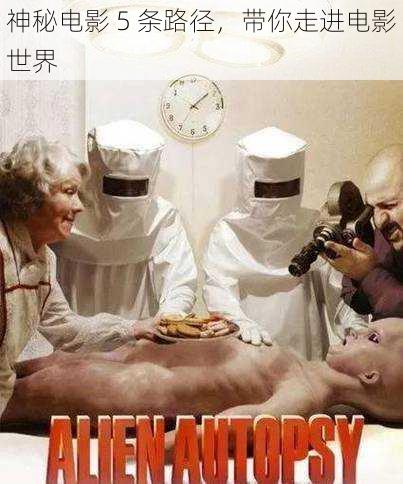 神秘电影 5 条路径,带你走进电影世界