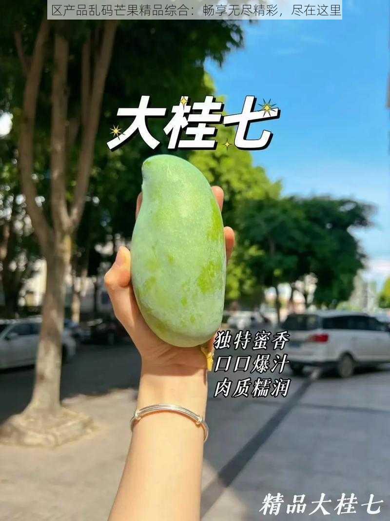 区产品乱码芒果精品综合:畅享无尽精彩,尽在这里