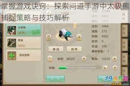 掌握游戏诀窍:探索问道手游中太极熊捕捉策略与技巧解析