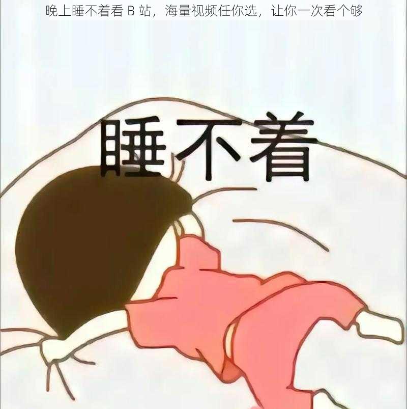 晚上睡不着看 B 站,海量视频任你选,让你一次看个够