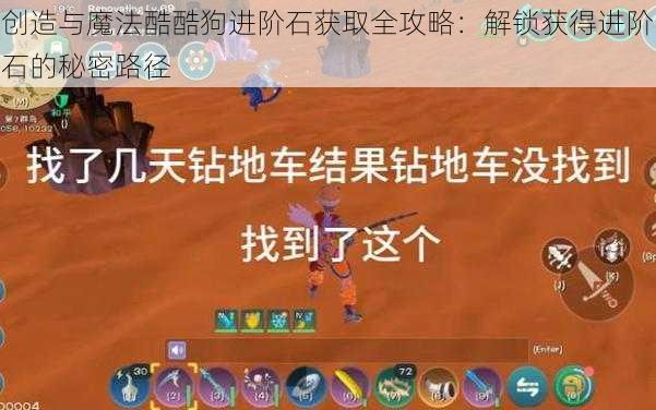 创造与魔法酷酷狗进阶石获取全攻略:解锁获得进阶石的秘密路径