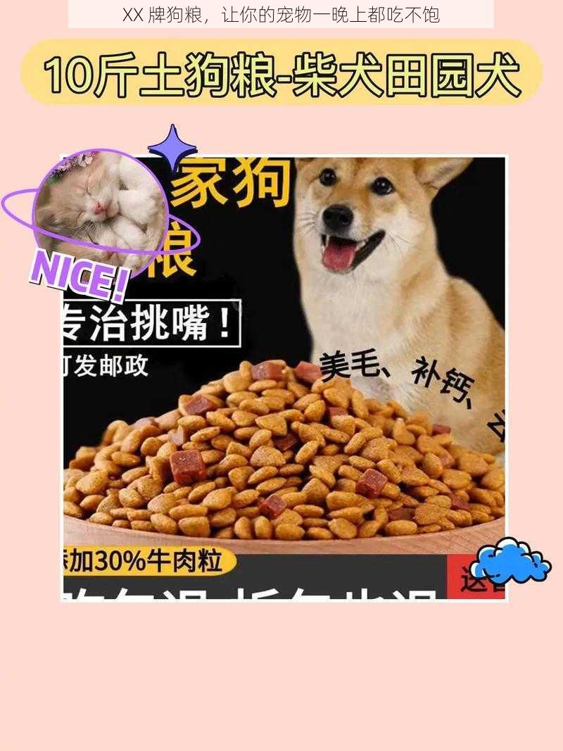 XX 牌狗粮,让你的宠物一晚上都吃不饱