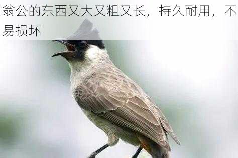翁公的东西又大又粗又长,持久耐用,不易损坏