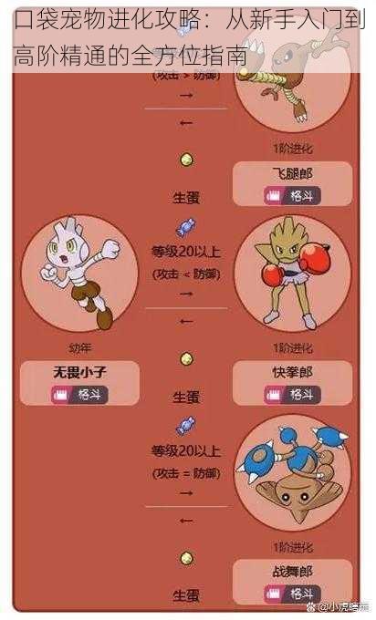 口袋宠物进化攻略:从新手入门到高阶精通的全方位指南