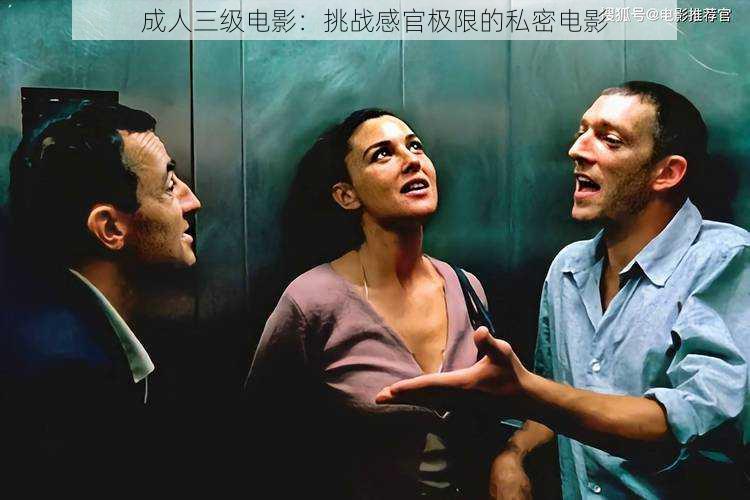 成人三级电影:挑战感官极限的私密电影