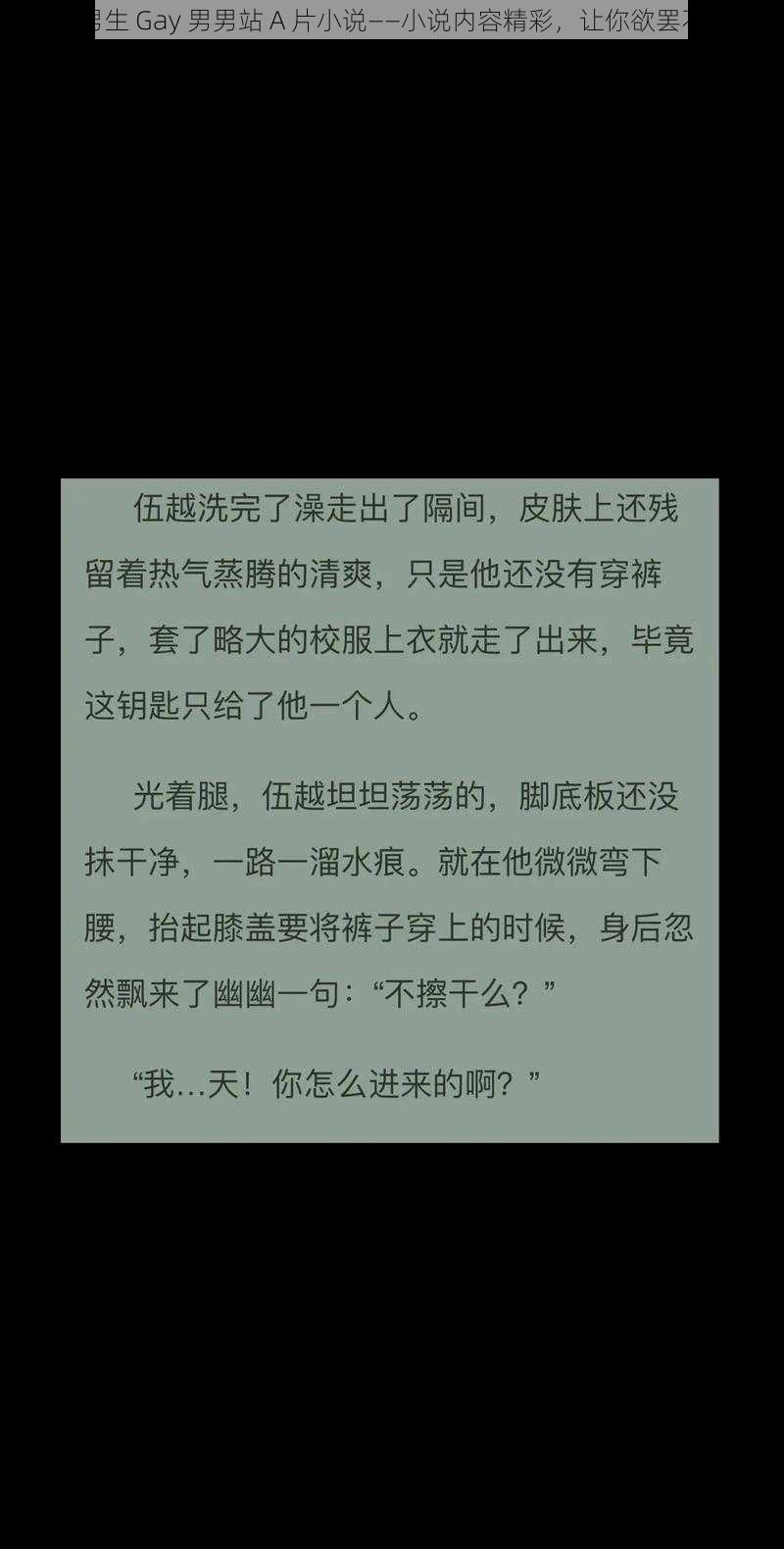 小男生 Gay 男男站 A 片小说——小说内容精彩,让你欲罢不能