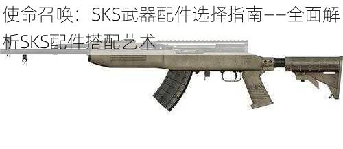 使命召唤:SKS武器配件选择指南——全面解析SKS配件搭配艺术