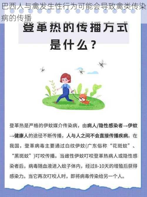 巴西人与禽发生性行为可能会导致禽类传染病的传播