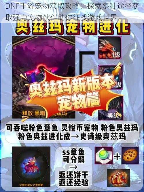 DNF手游宠物获取攻略:探索多种途径获取强力宠物伙伴助你征战游戏世界