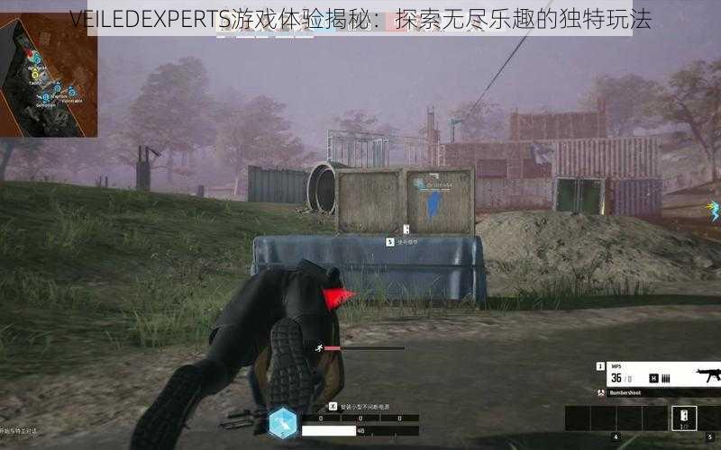 VEILEDEXPERTS游戏体验揭秘:探索无尽乐趣的独特玩法
