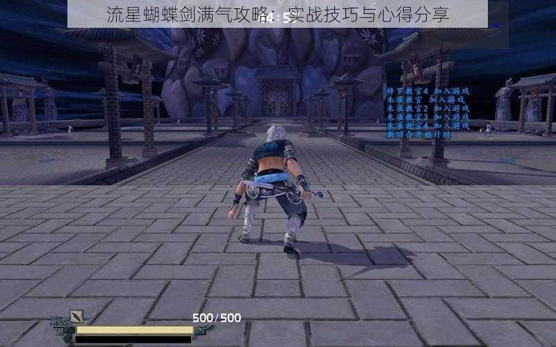 流星蝴蝶剑满气攻略:实战技巧与心得分享