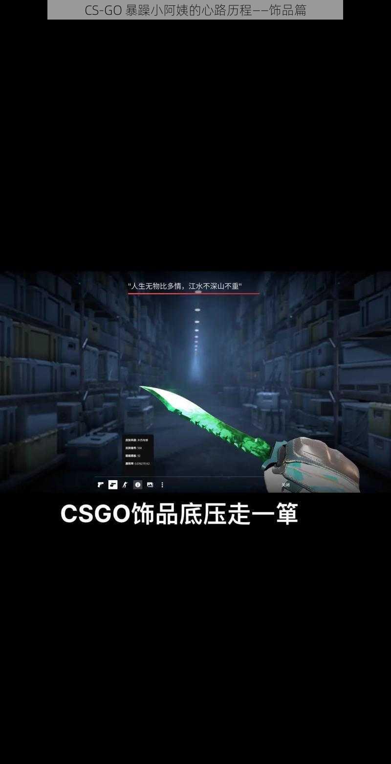 CS-GO 暴躁小阿姨的心路历程——饰品篇