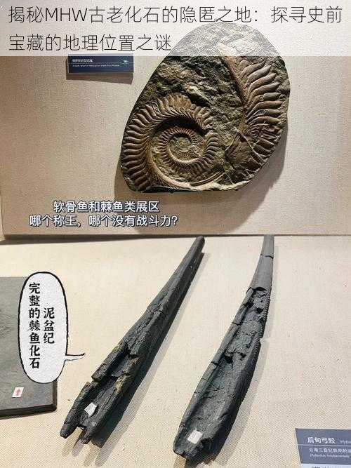 揭秘MHW古老化石的隐匿之地:探寻史前宝藏的地理位置之谜