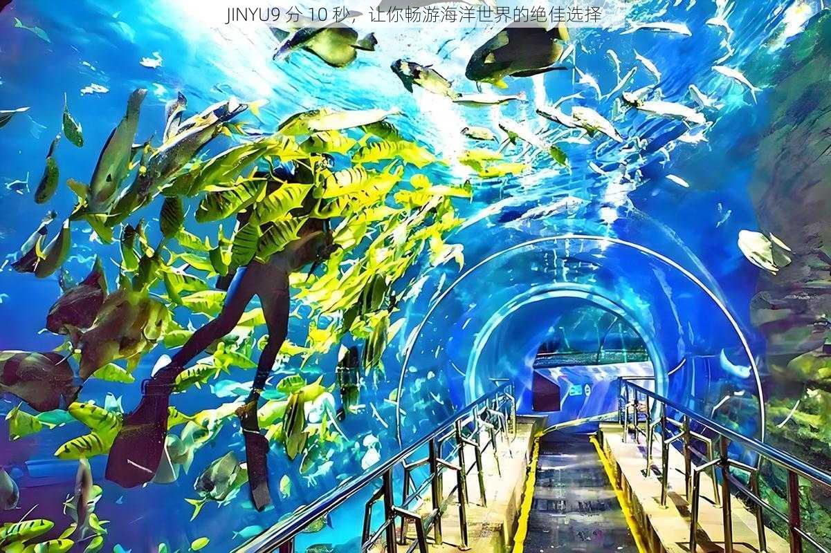 JINYU9 分 10 秒,让你畅游海洋世界的绝佳选择
