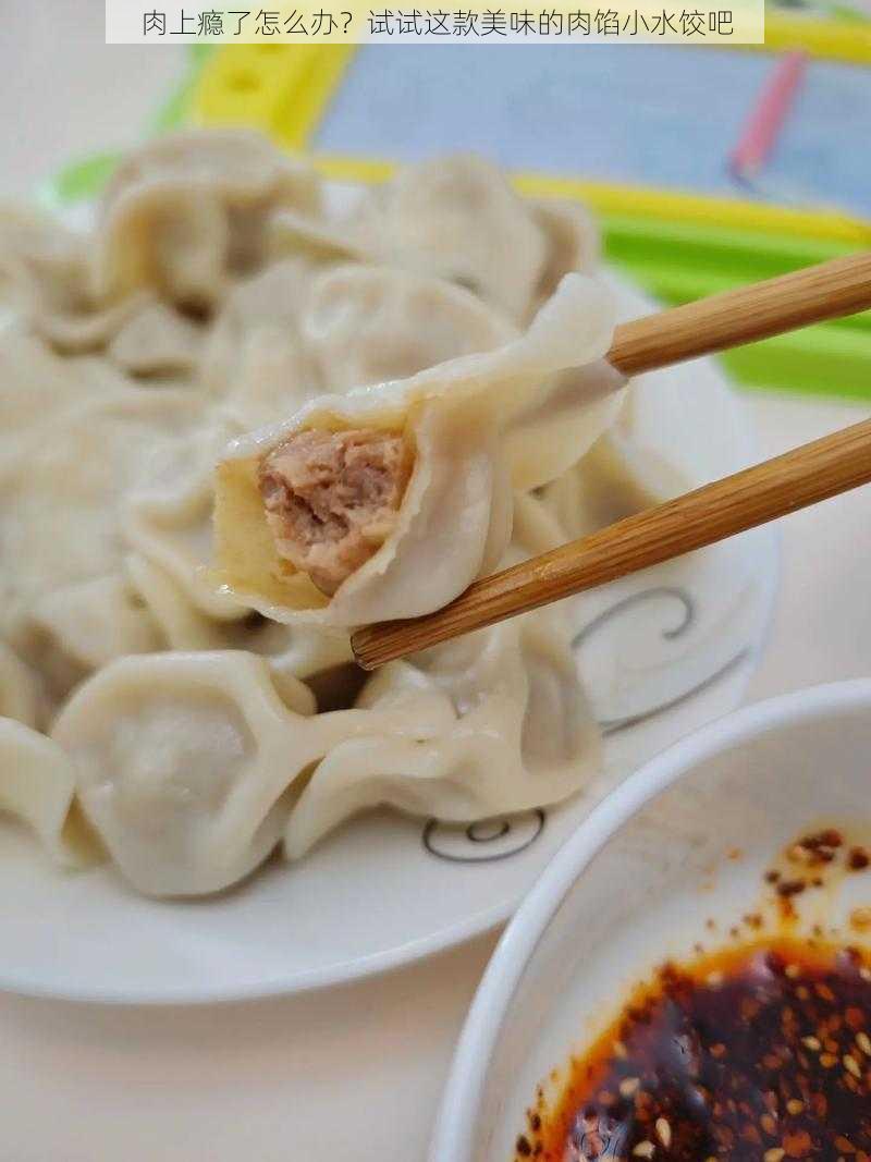 肉上瘾了怎么办?试试这款美味的肉馅小水饺吧