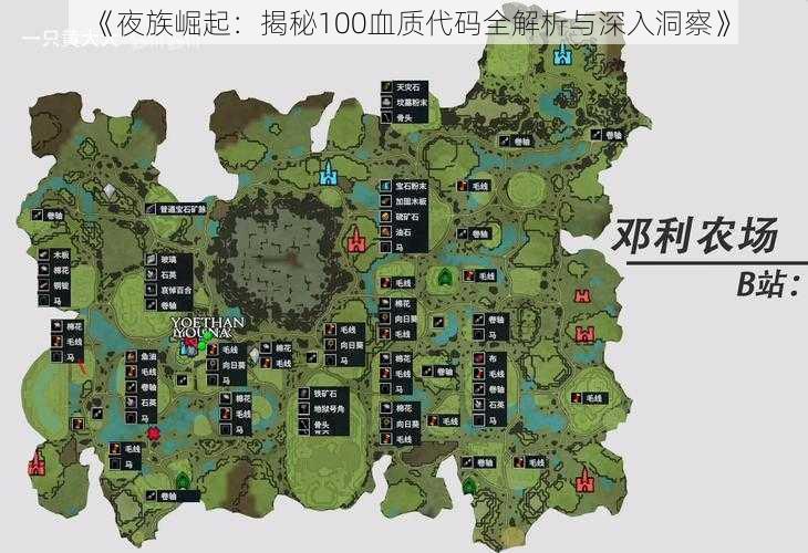 《夜族崛起:揭秘100血质代码全解析与深入洞察》