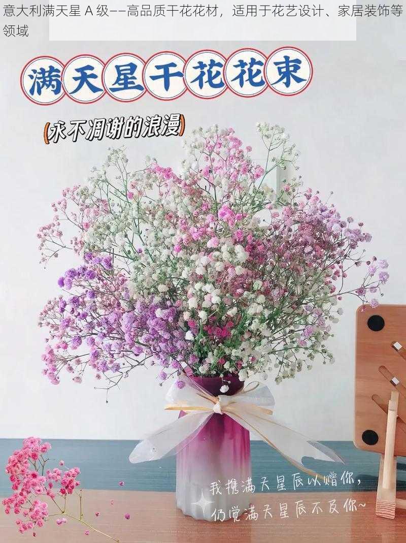 意大利满天星 A 级——高品质干花花材,适用于花艺设计、家居装饰等领域