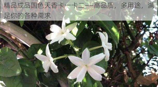 精品成品国色天香卡一卡二——高品质,多用途,满足你的各种需求