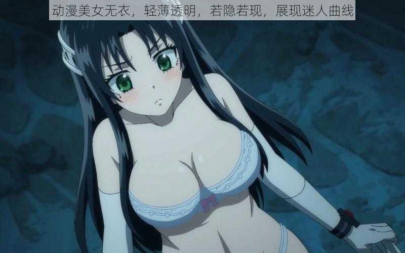 动漫美女无衣,轻薄透明,若隐若现,展现迷人曲线