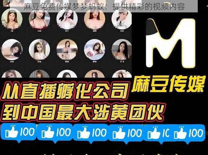 麻豆免费传媒梦梦蚂蚁:提供精彩的视频内容