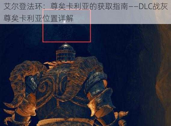 艾尔登法环:尊矣卡利亚的获取指南——DLC战灰尊矣卡利亚位置详解