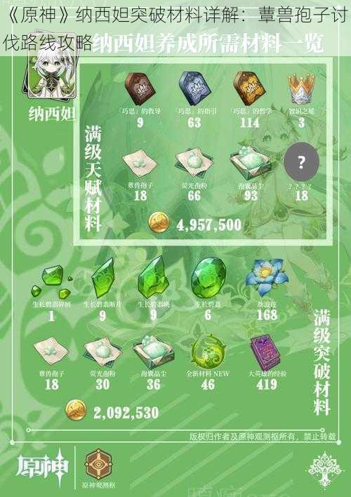 《原神》纳西妲突破材料详解:蕈兽孢子讨伐路线攻略