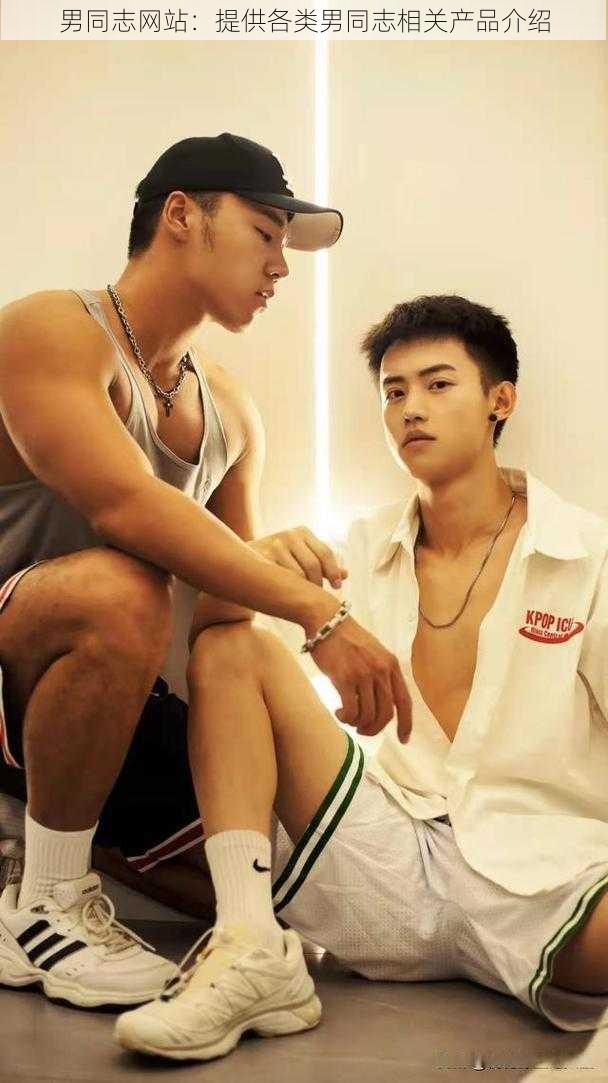 男同志网站:提供各类男同志相关产品介绍