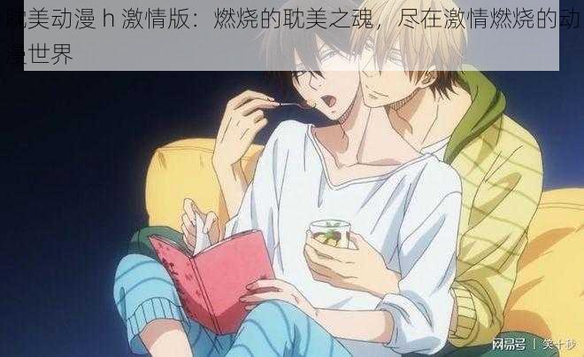 耽美动漫 h 激情版:燃烧的耽美之魂,尽在激情燃烧的动漫世界