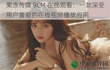 果冻传媒 9CM 在线观看:一款深受用户喜爱的在线视频播放应用