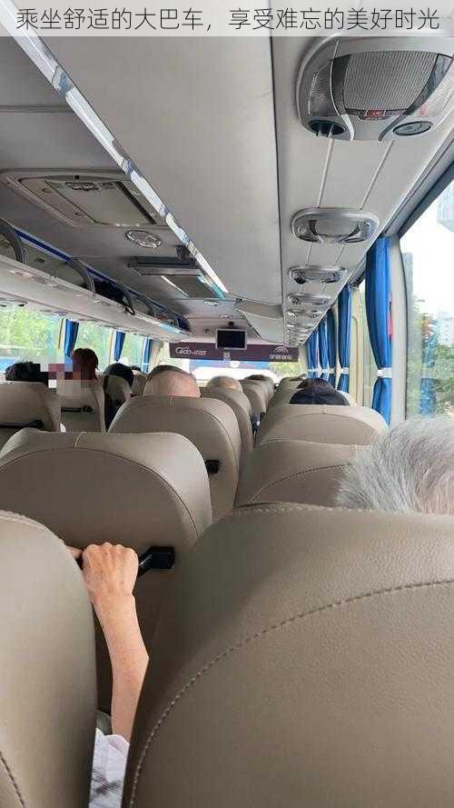 乘坐舒适的大巴车,享受难忘的美好时光