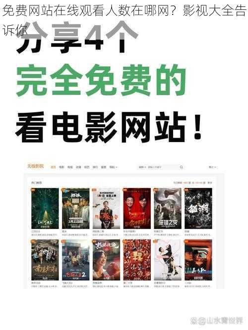 免费网站在线观看人数在哪网?影视大全告诉你
