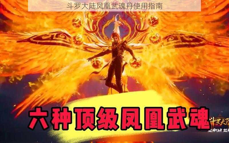 斗罗大陆凤凰武魂丹使用指南