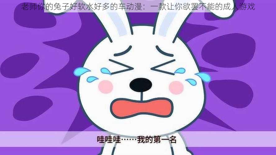老师你的兔子好软水好多的车动漫:一款让你欲罢不能的成人游戏