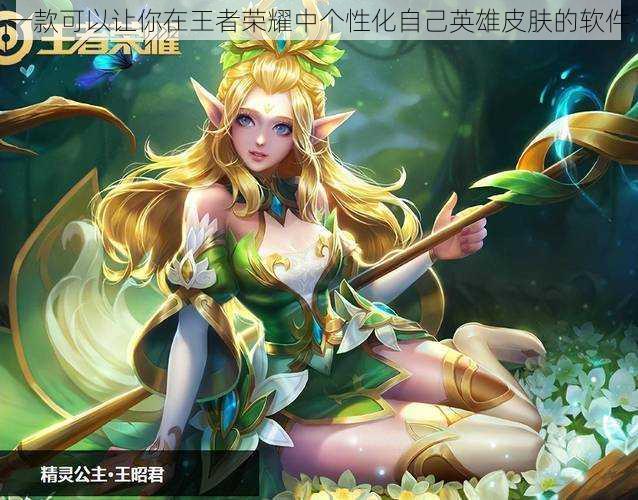一款可以让你在王者荣耀中个性化自己英雄皮肤的软件