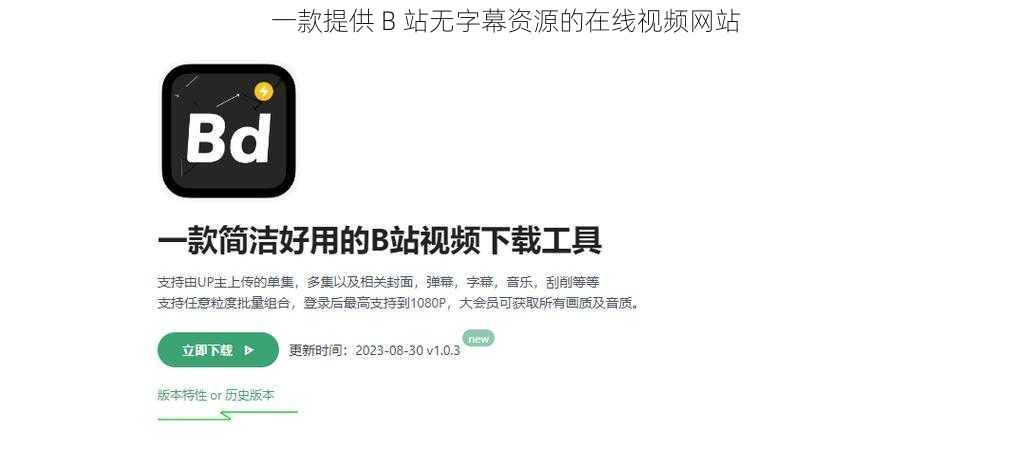 一款提供 B 站无字幕资源的在线视频网站