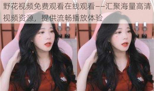 野花视频免费观看在线观看——汇聚海量高清视频资源,提供流畅播放体验
